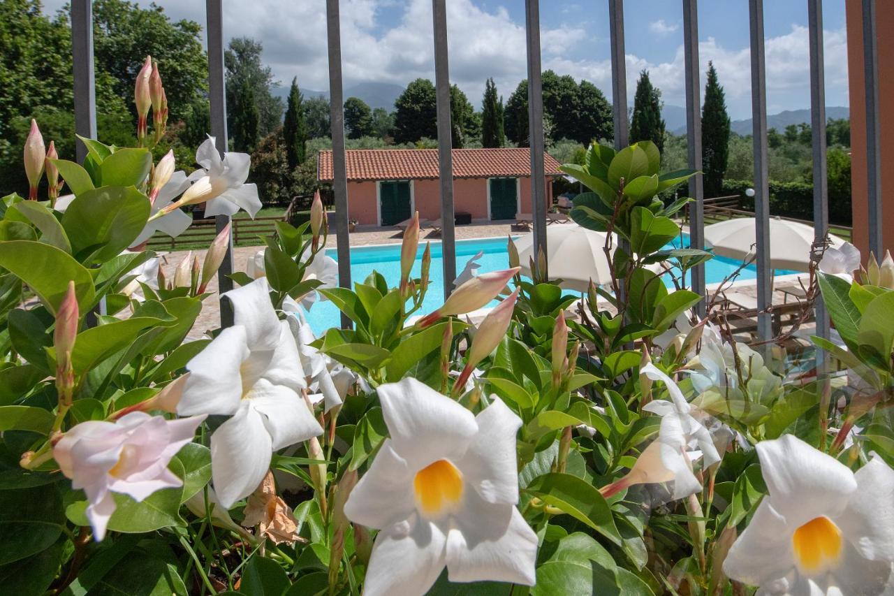 Relais Villa Isabel ピエトラサンタ エクステリア 写真